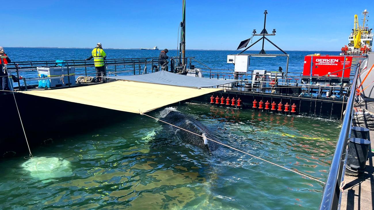 Fotografie: Bilder des Tages