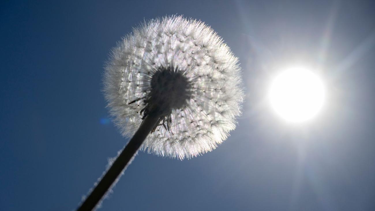 Wetter: Bis zu 25 Grad am Maifeiertag – Sonne pur im Freistaat