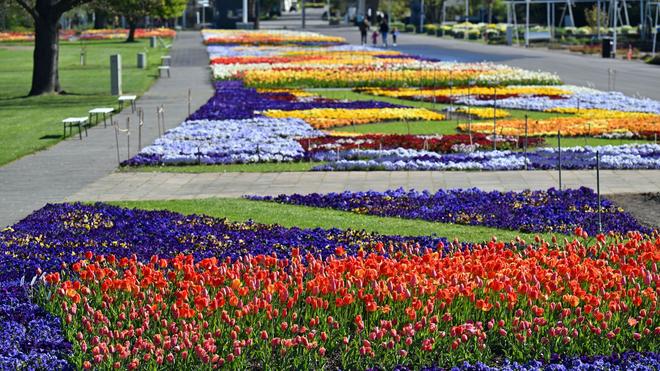 Thringens grter Garten: Blhendes Denkmal - egapark besteht 65 Jahre |  DIE ZEIT