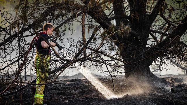 Bild: Naturbrände: Brände in den Niederlanden - deutsche Feuerwehr hilft