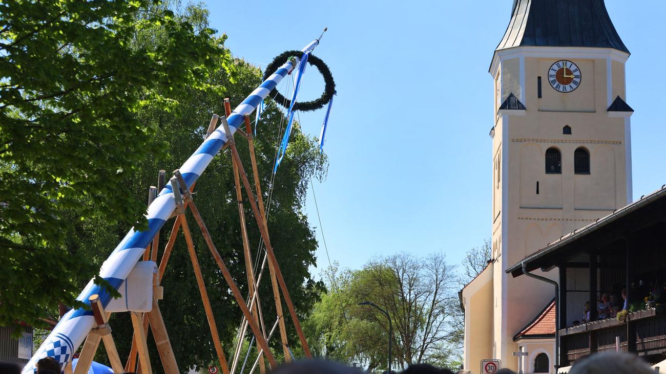 Brauchtum: Dorfplätze bekommen neue Maibäume