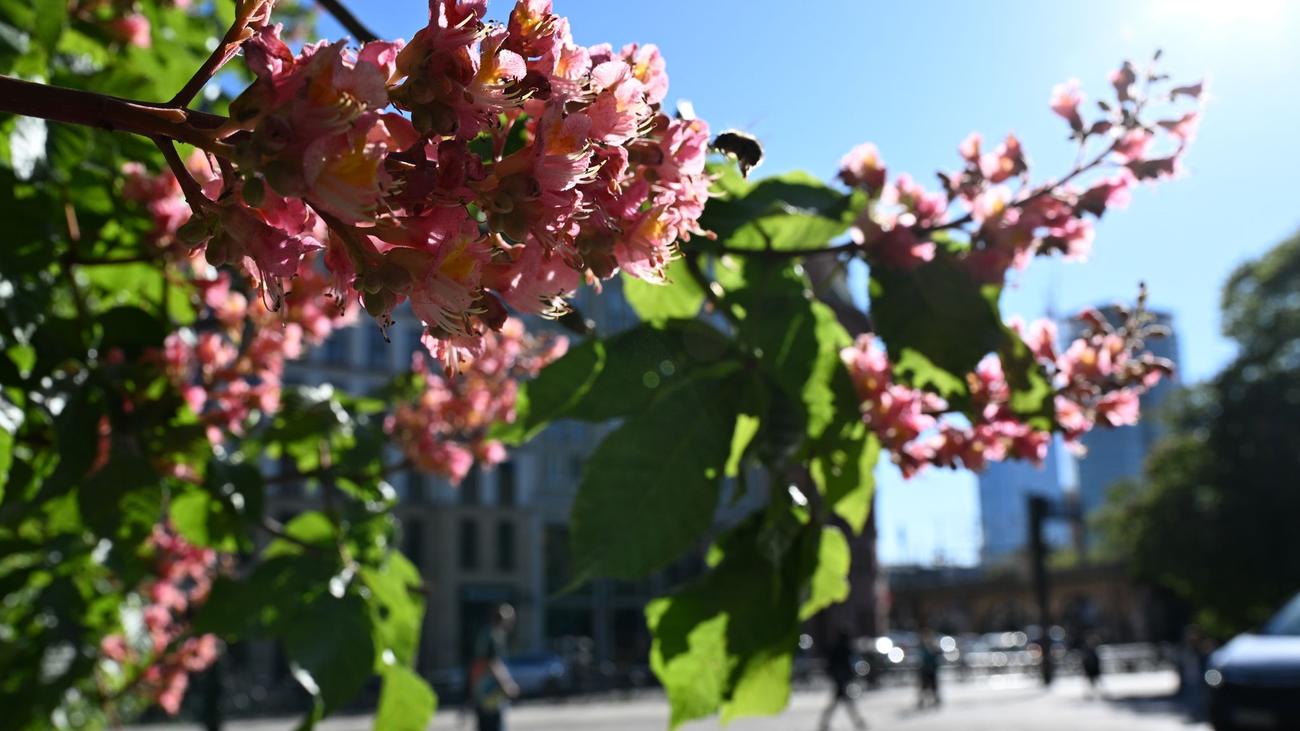 Feiertag: Sommerwetter mit bis zu 28 Grad am langen Wochenende