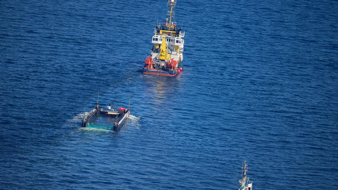 Aufwendiger Rettungsversuch: Wal-Transportschiff hat Nordsee fast erreicht