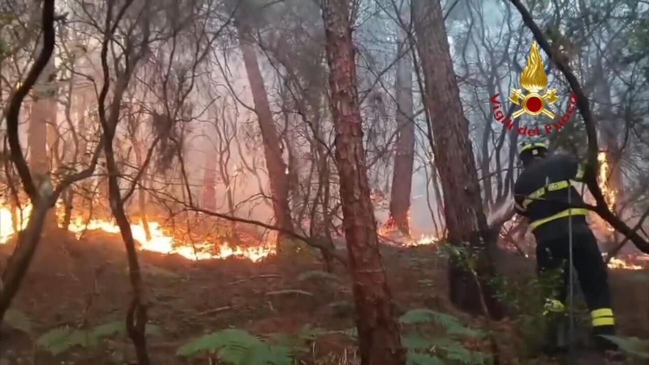 Feuer in Urlaubsregion: Waldbrand in Toskana: 3.500 Menschen evakuiert
