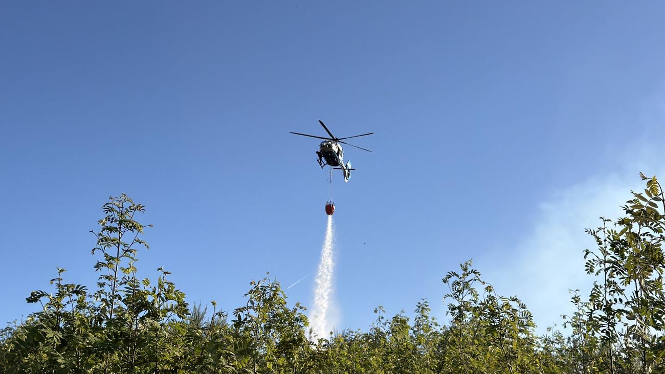 Kräftezehrender Einsatz: Feuerwehr kämpft gegen Glutnester in Wald im Sauerland