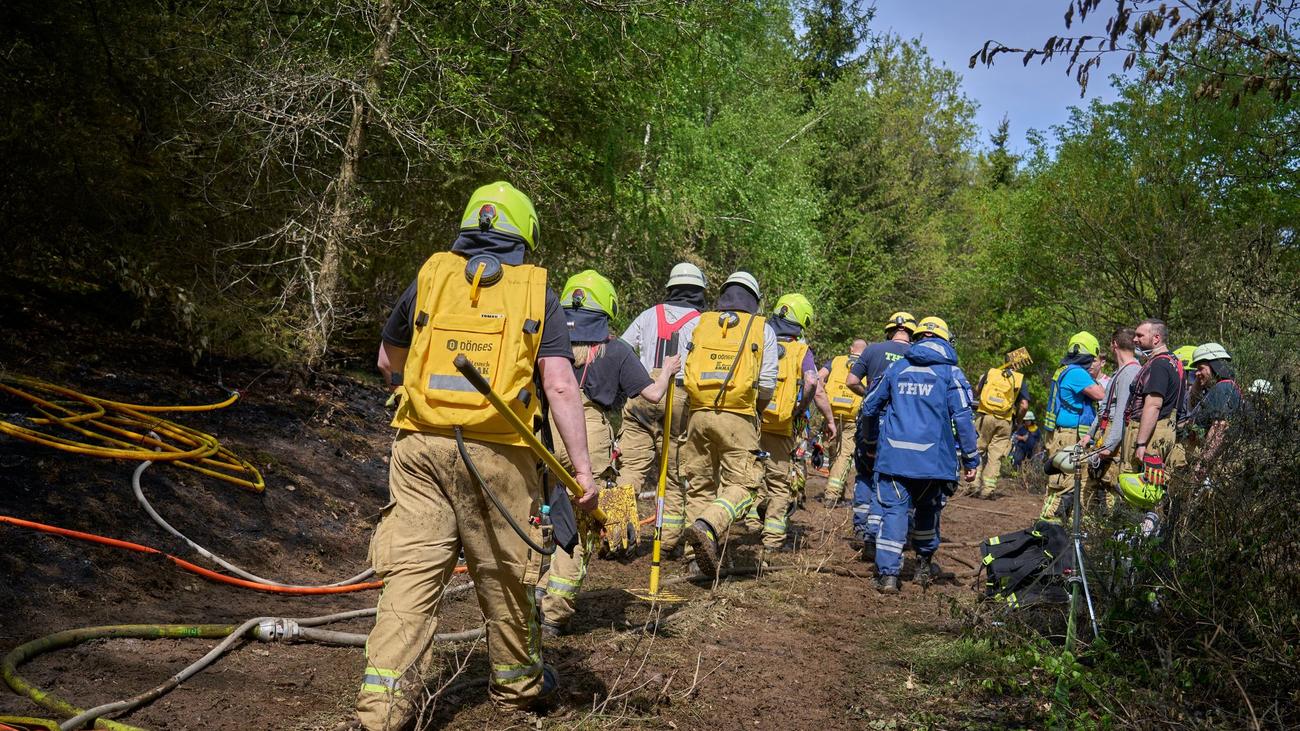 Brände: Mehrere Wald- und Vegetationsbrände fordern Einsatzkräfte