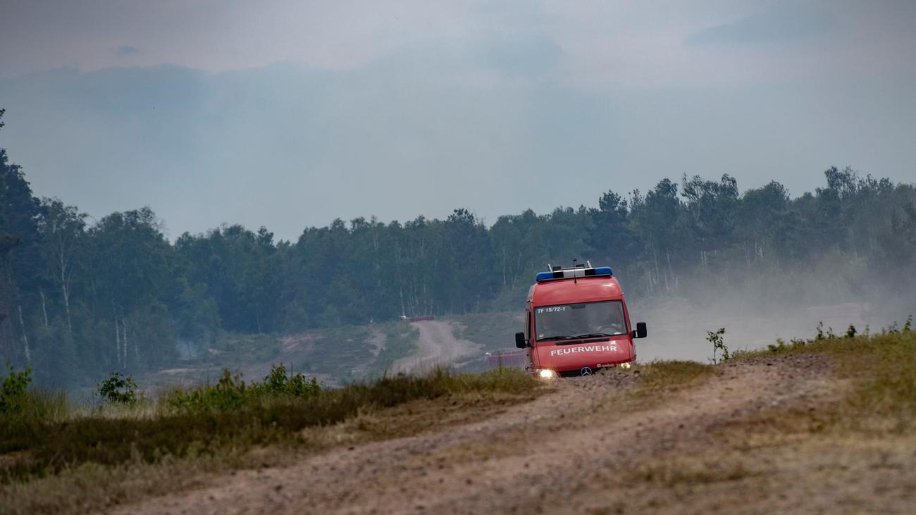 Waldbrandschutz: Wie Schutzstreifen Waldbrände eindämmen sollen