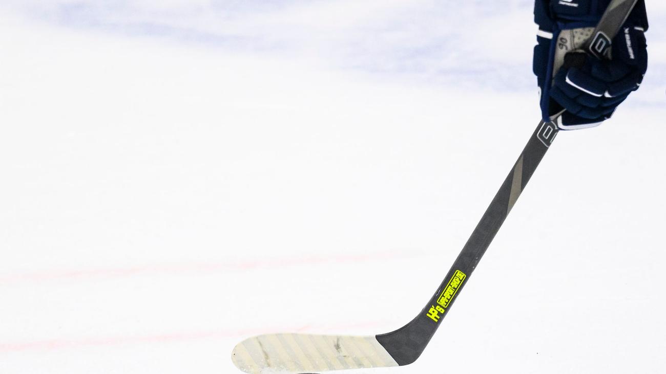 Deutsche Eishockey Liga: Augsburger Panther holen Stürmer aus Wolfsburg