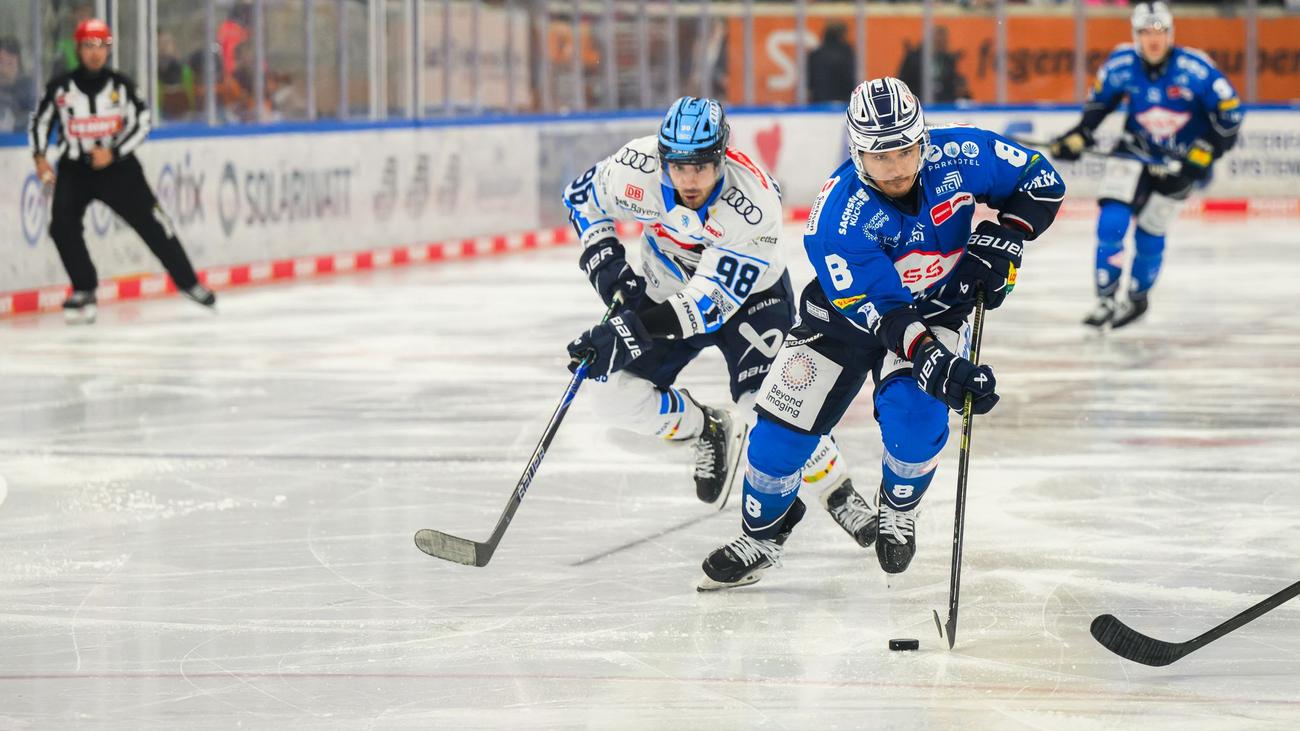 Eishockey: Neuer Stürmer für Schwenningen: Ortega kommt aus Dresden