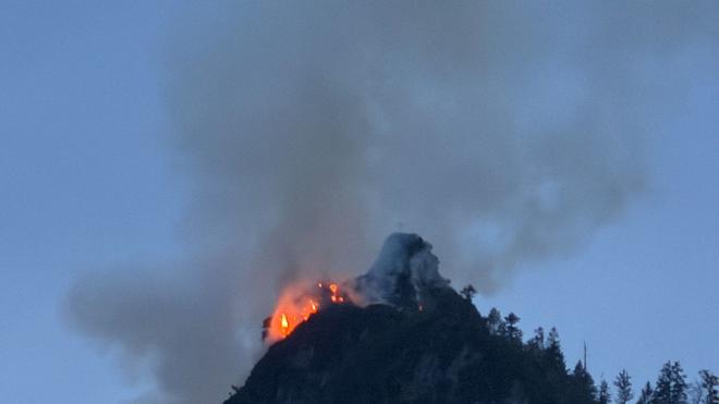 Feuerwehreinsatz:  Die Feuerwehr kämpft gegen den Waldbrand.
