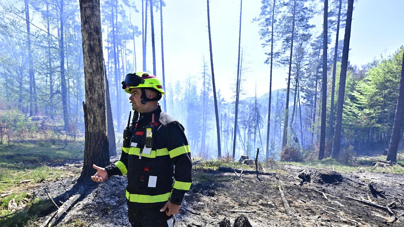 Nationalpark Böhmische Schweiz: Brand nahe Sachsen nicht unter Kontrolle - Hoffen auf Regen