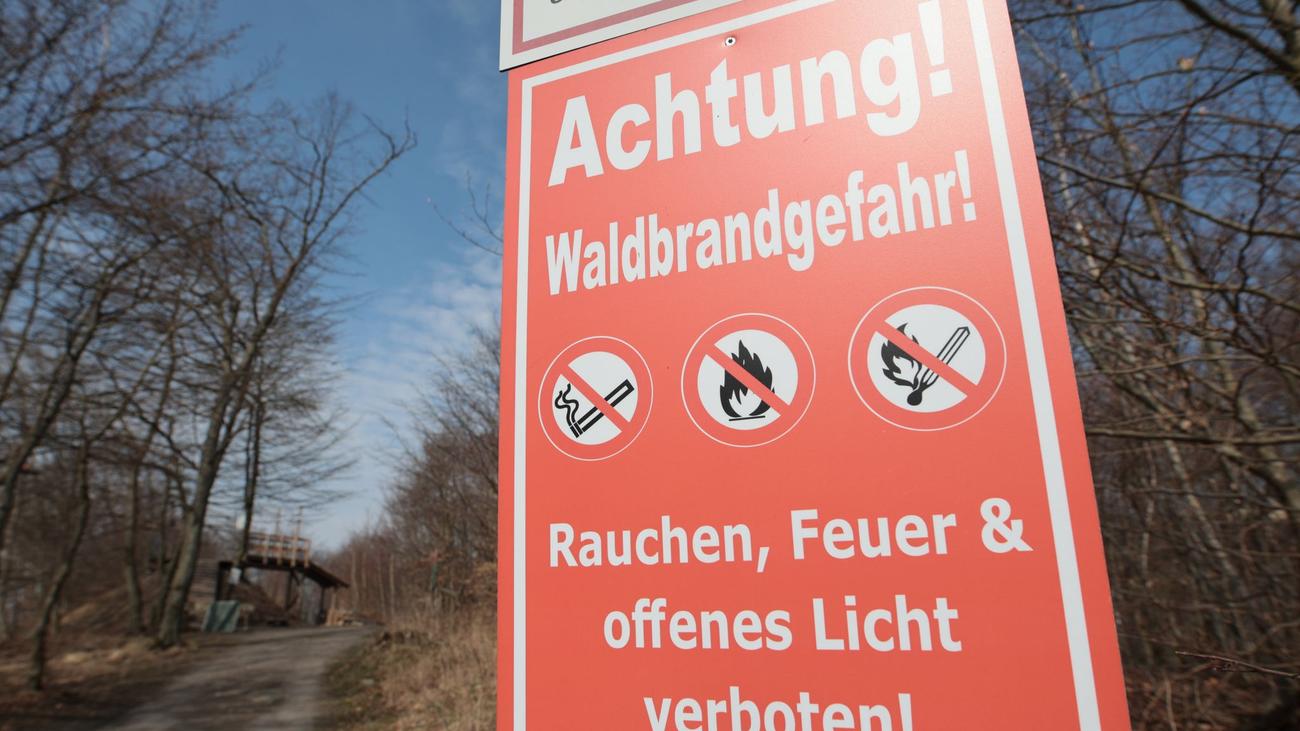 Wetter: Warum die Gefahr von Waldbränden wieder sinkt
