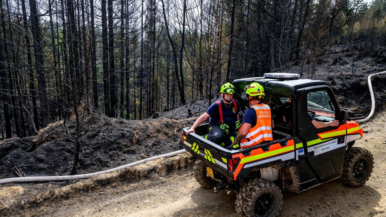 Nationalpark Böhmische Schweiz: Waldbrand in tschechischem Grenzgebiet unter Kontrolle