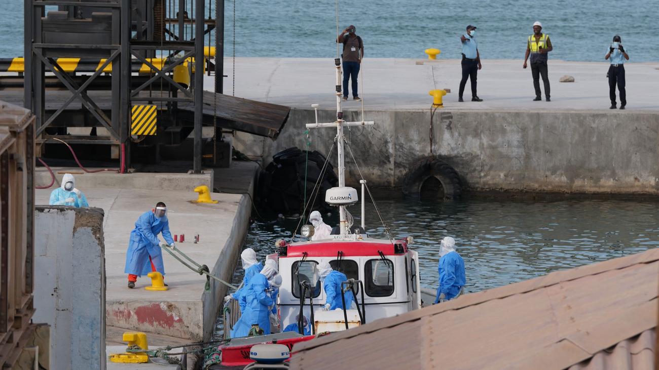Krankheit auf Kreuzfahrtschiff: Wie gefährlich ist das Hantavirus auf einem Kreuzfahrschiff?