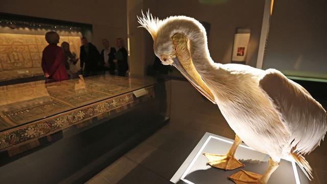 Kultur: Ausstellung und Halberstädter Domfestspiele zur Vogelwelt