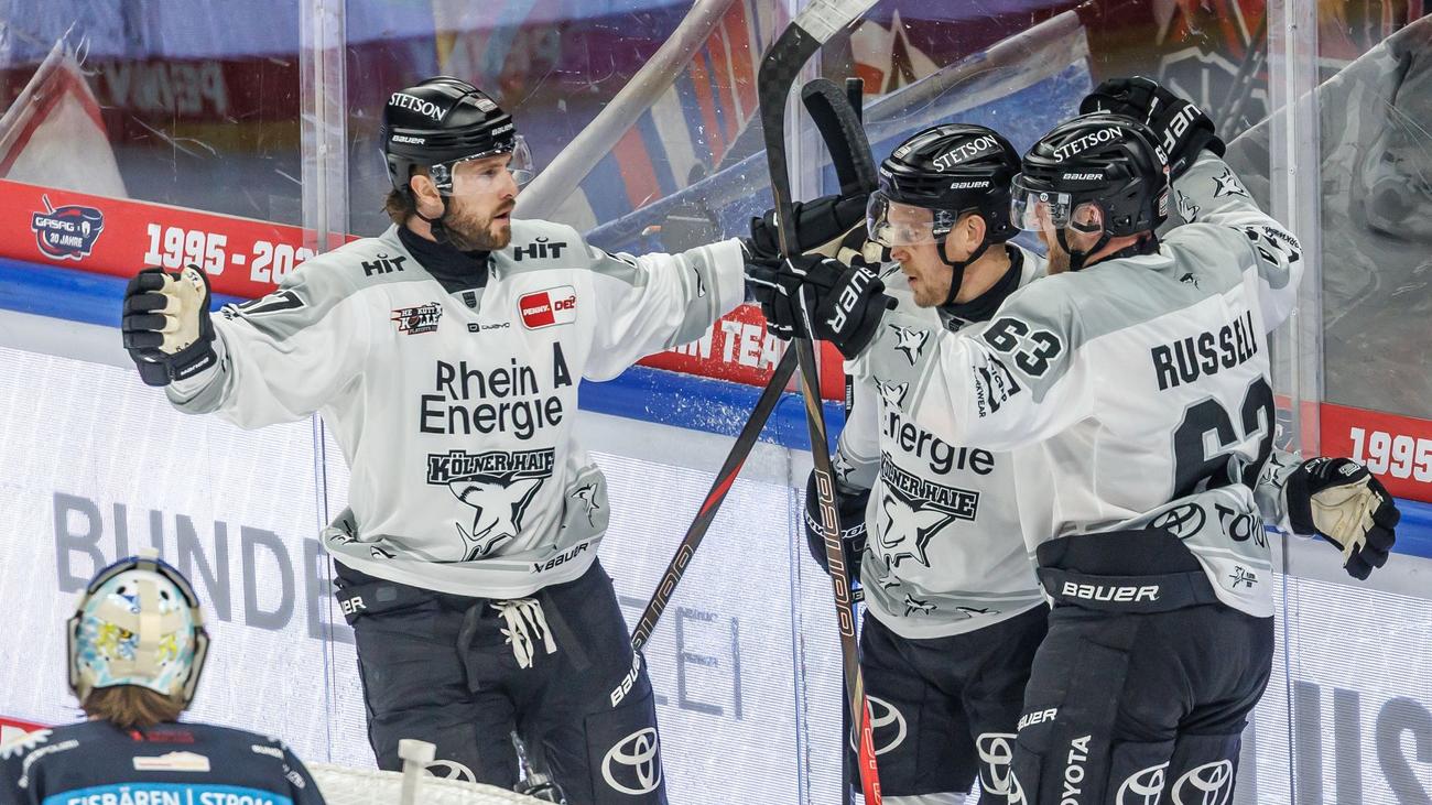 Eishockey: Schwede Berglund neuer Chefcoach der Kölner Haie
