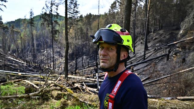 Nationalpark Böhmische Schweiz: Waldbrand in tschechischem Nationalpark gilt als gelöscht