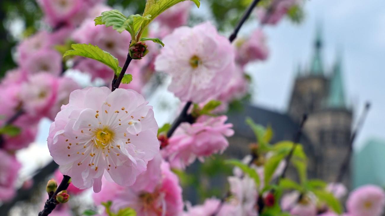 Wetter: Milde Temperaturen zum Wochenende in Thüringen