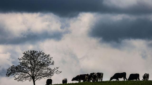 Wetterprognose: Freundlicher Samstag in NRW – ab Sonntag Gewitter möglich