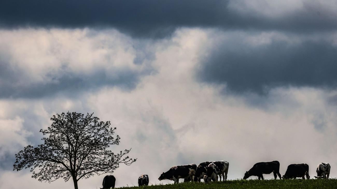 Wetterprognose: Freundlicher Samstag in NRW – ab Sonntag Gewitter möglich
