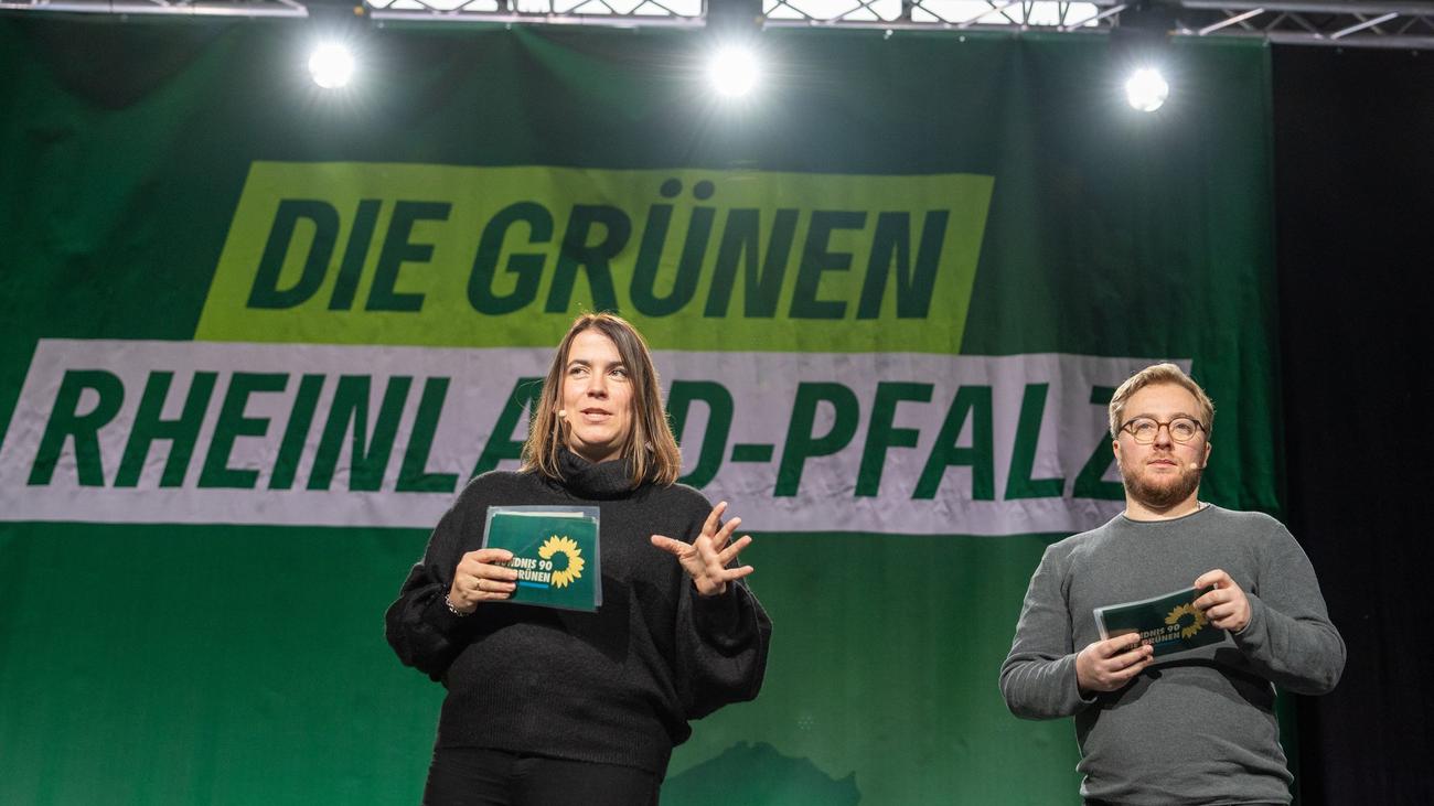 Grünen-Spitze: Grüne wählen neue Parteispitze