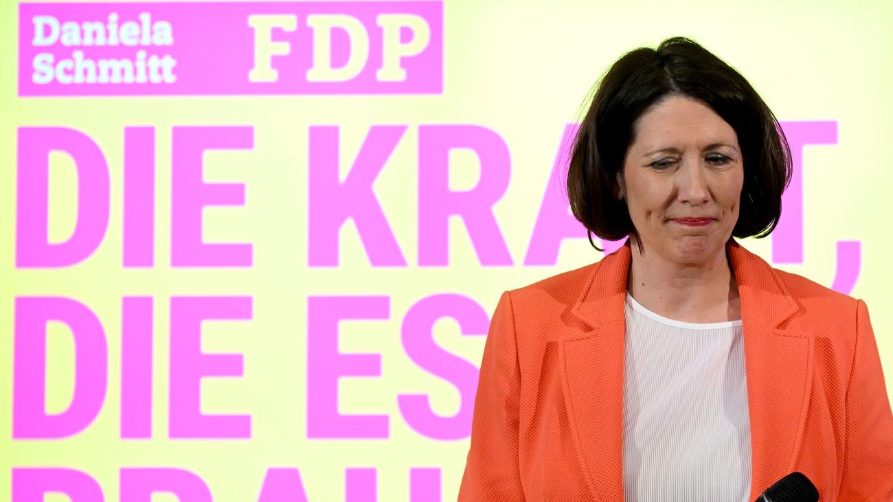 Parteien: Rheinland-pfälzische FDP wählt neue Parteispitze