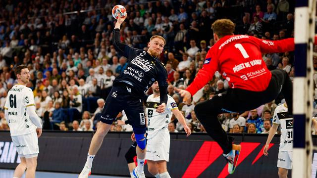 Handball: SG Flensburg-Handewitt festigt Champions-League-Kurs