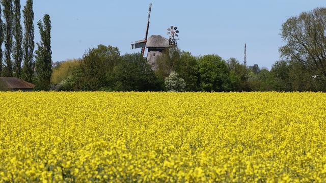 Wetterprognose: Warmes Wetter am Wochenende