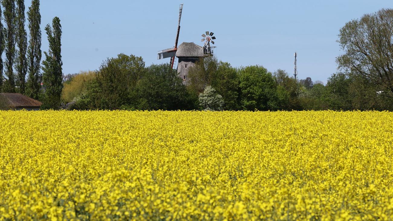Wetterprognose: Warmes Wetter am Wochenende