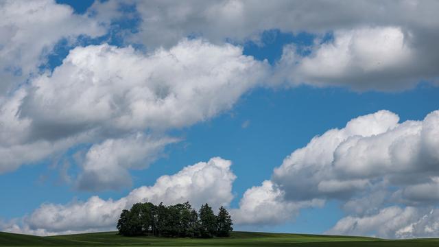 Wetter in Sachsen: Auf zunehmend wolkigen Sonntag folgt nasser Wochenstart