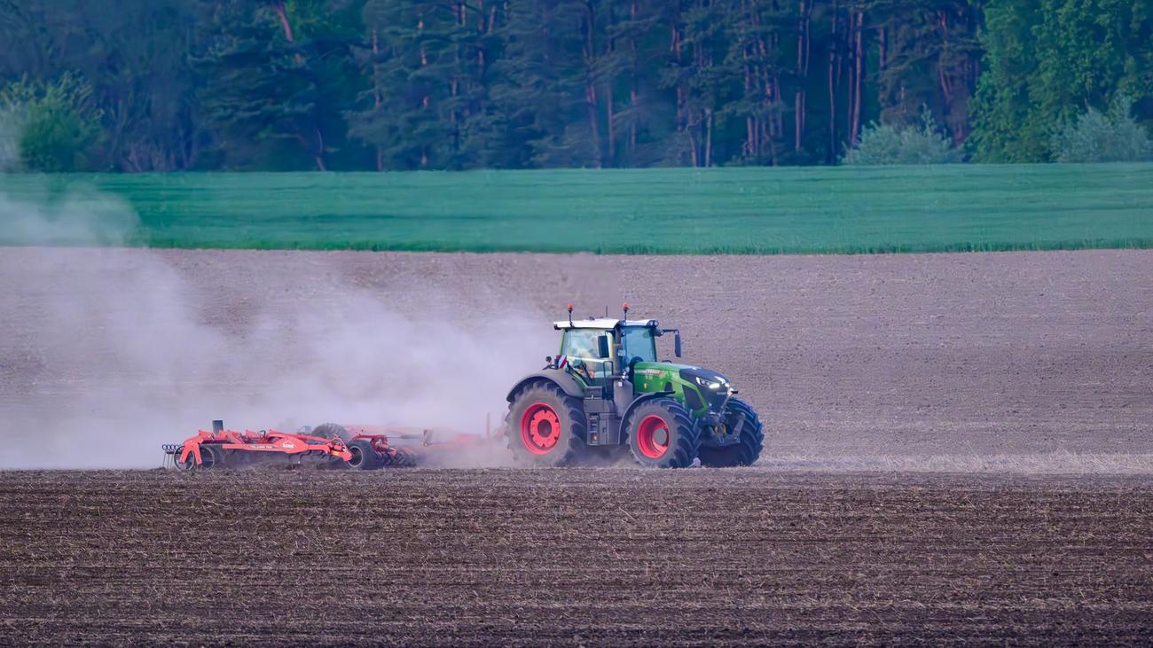 Tau und Regen helfen: Die Landwirte blicken gespannt aufs Wetter