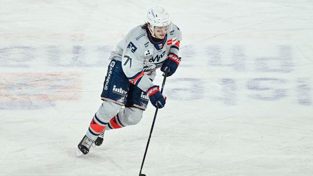 Transfers: Eishockey-Wechsel nach Köln: Fischbuch wird ein Hai