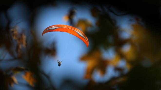 Bergwacht im Einsatz: Der Gleitschirmflieger blieb in einem Baum hängen. (Symbolbild)