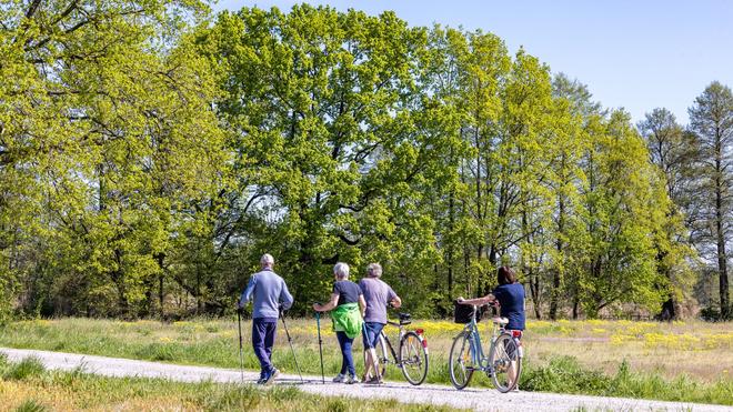 Wetter: Der Sonntag ist sonnig in der Region. (Archivbild)