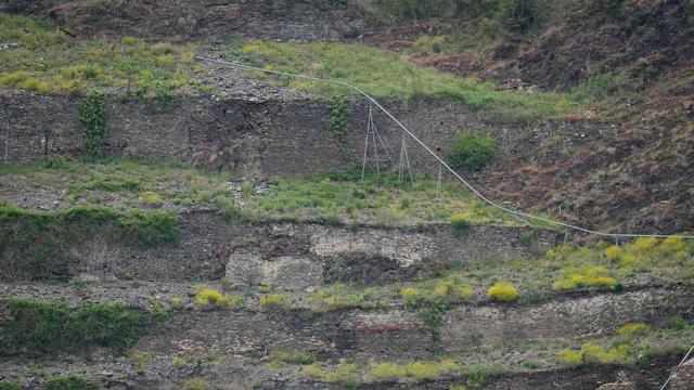 Weinbau: Rechtecke ohne Reben – Weinkrise mit mehr Weinbergsbrachen?