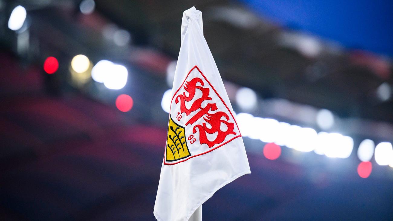 Sieg gegen Wolfsburg II: VfB-Fußballerinnen steigen erstmals in Bundesliga auf