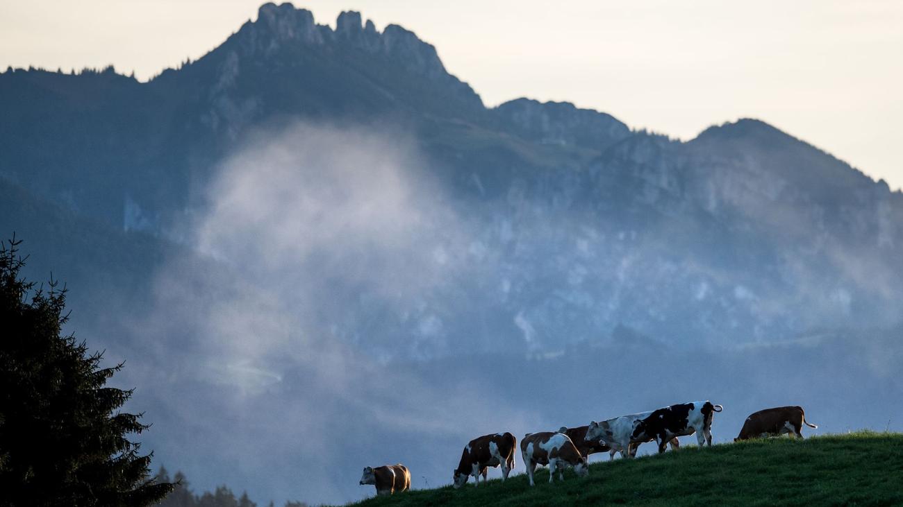 Chiemgauer Alpen: Zwei Kinder verlaufen sich bei Wanderung in den Bergen