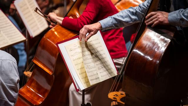 Bild: Schwerpunkt Beethoven: Das haben die Bamberger Symphoniker in der neuen Saison vor
