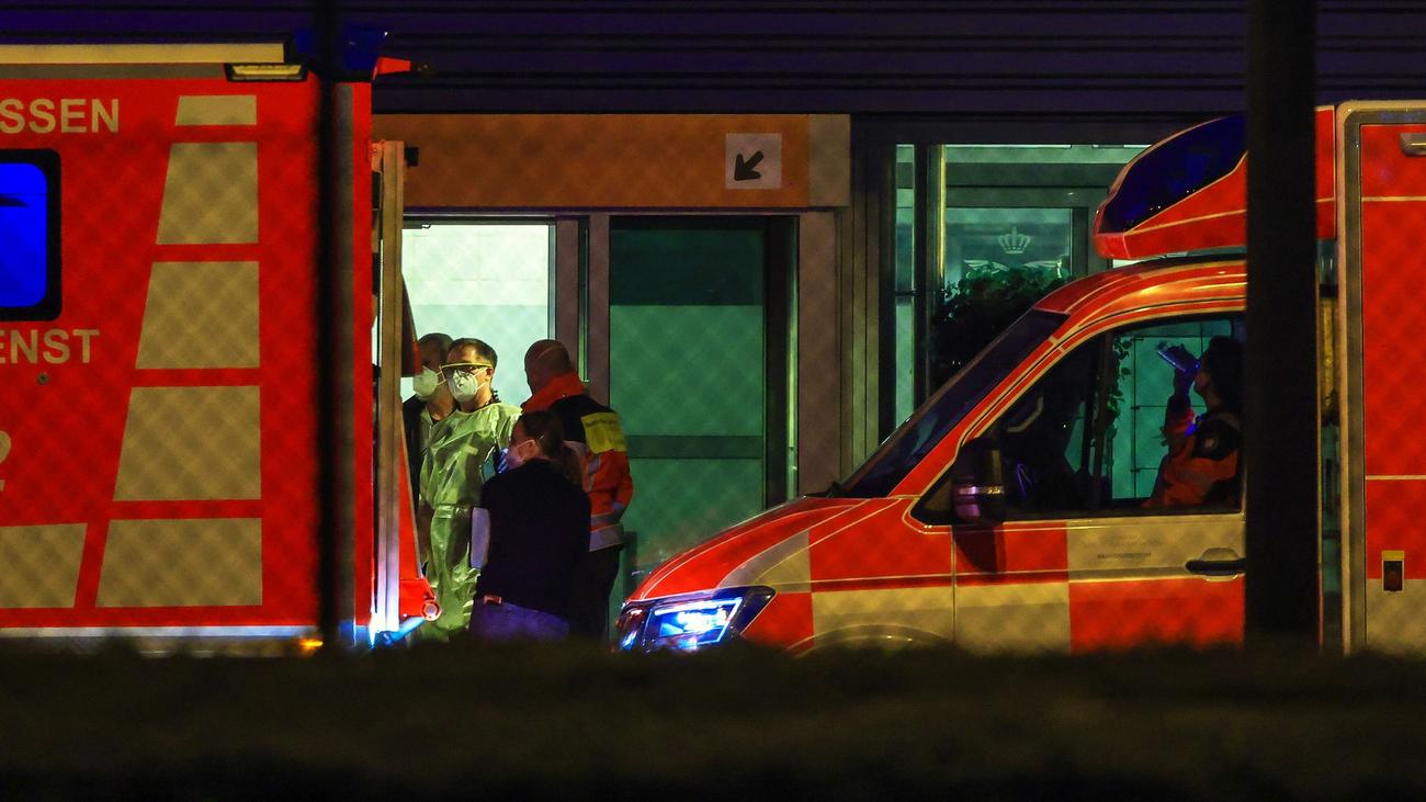 Virus-Ausbruch bei Kreuzfahrt: Hantavirus - Häusliche Isolation statt Charité für Passagier