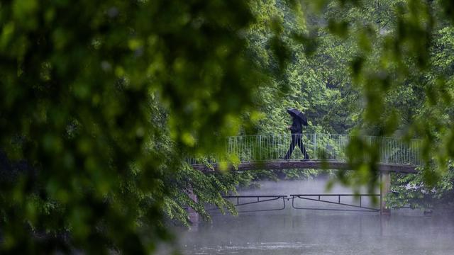 Bild: Regen und Gewitter: Regen macht sich breit in Nordrhein-Westfalen