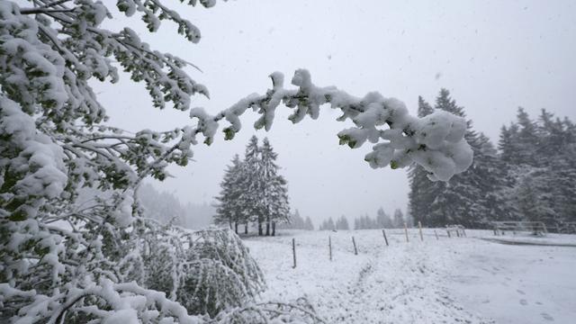 Wettervorhersage: Schnee im Mai