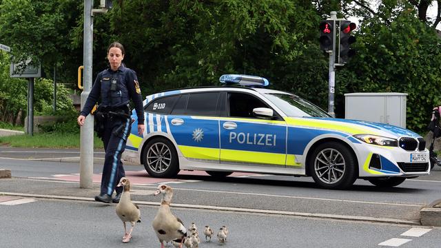 Tiere: Vielbefahrene Straße: Polizei begleitet Gänse zu Mainufer