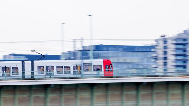 Staatsschutz ermittelt: Unbekannte sägen Bäume an - Oberleitung in Köln betroffen