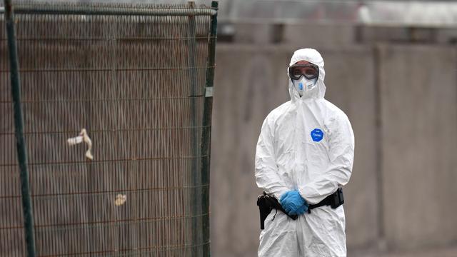 Faktencheck: Was das Hantavirus von der Corona-Pandemie unterscheidet