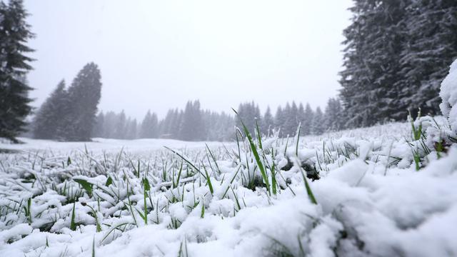 Wettervorhersage: Wetter bleibt ungemütlich - auch am Feiertag