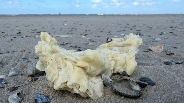 Ostfriesische Inseln: Weiße Klumpen an Stränden von Nordseeinseln angespült