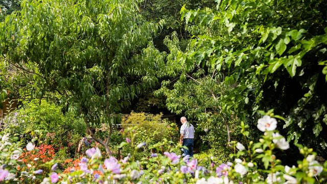 Passionierte Gärtner: Mehr als 140 Privatgärten öffnen ihre Pforten für Besucher