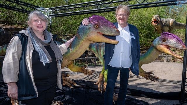 Fossilien in Südeifel: Nach Dinosaurierfund suchen Experten weiter