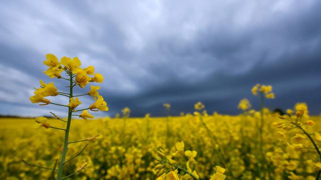 Sonne und Wärme pausieren: Schauer-Wochenende: Böen, Gewitterrisiko, Bergflocken