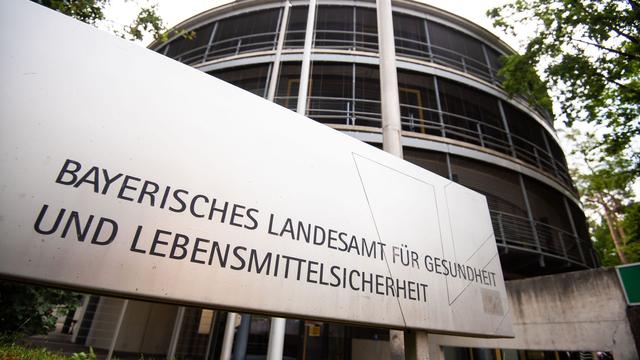 Bild: Seltene Erkrankung: Infektionen in Bayern: Die Feldspitzmaus und das Borna-Virus